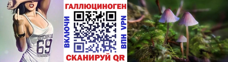 OMG ТОР Черемхово Псилоцибиновые грибы прущие грибы хочу